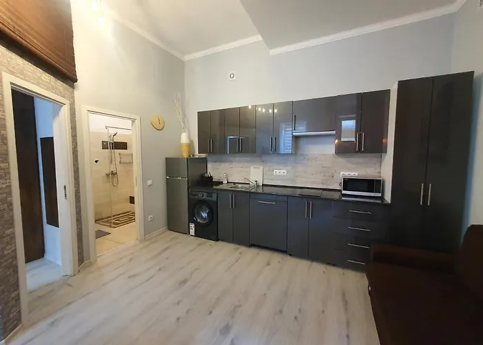 Linden With Air Condition Apartament